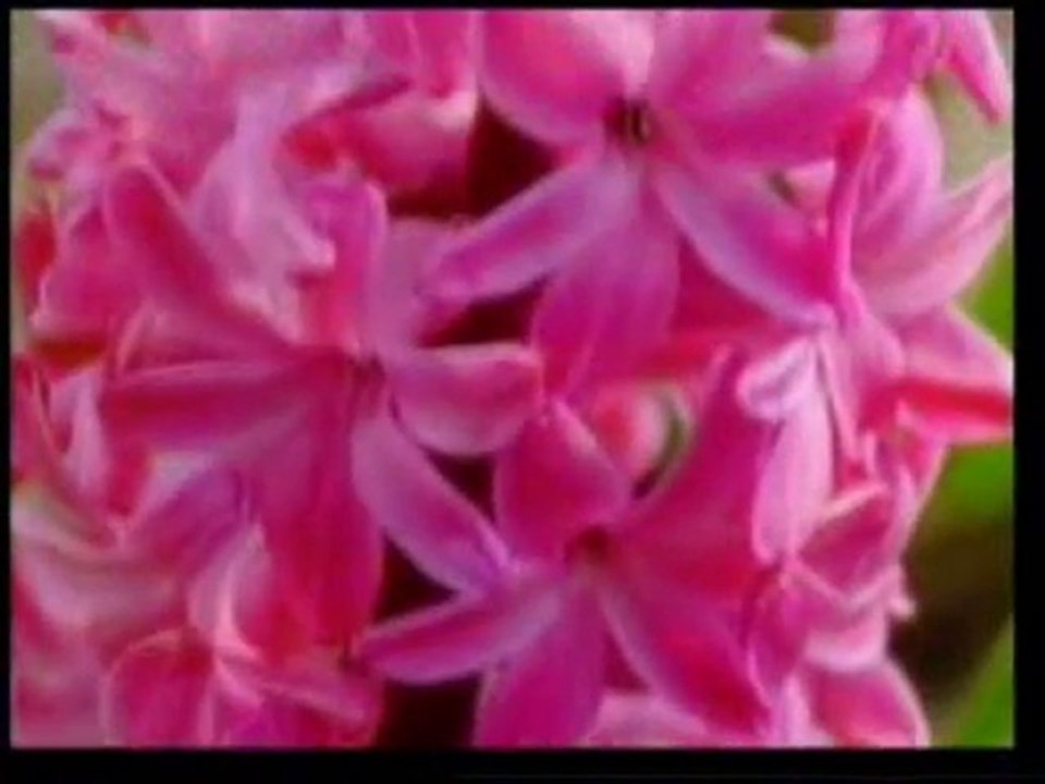 ÖZLEDİK SENİ EY RESUL-İŞTE AĞLATAN İLAHİ-ÖZLEYENLER İÇİN..