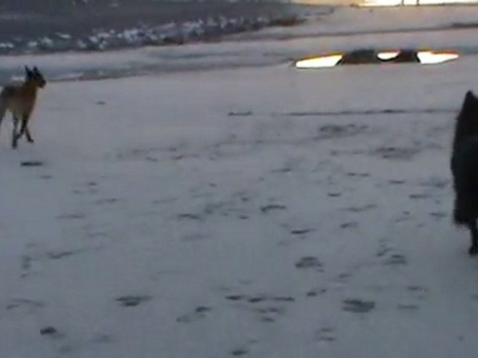 20101025182205