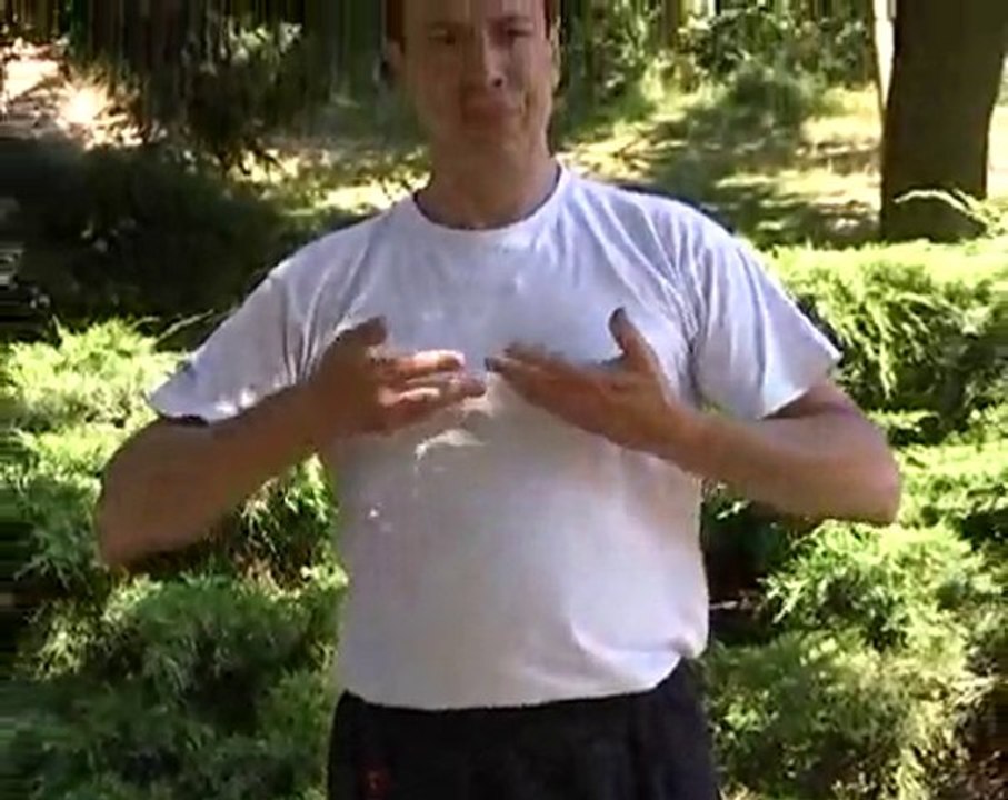 Premier brocart de soie