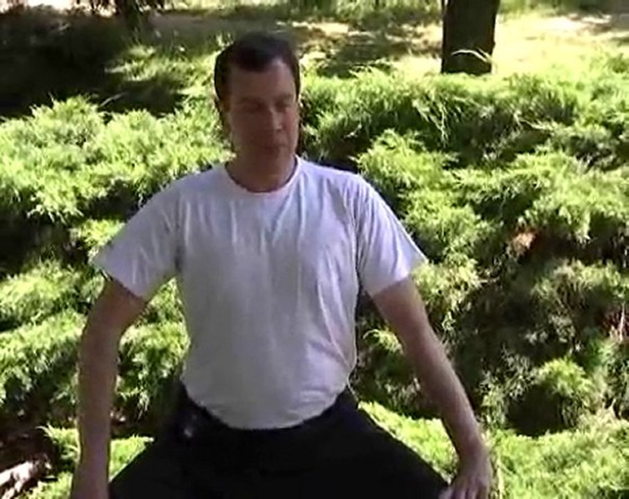 Cinquième brocart de soie