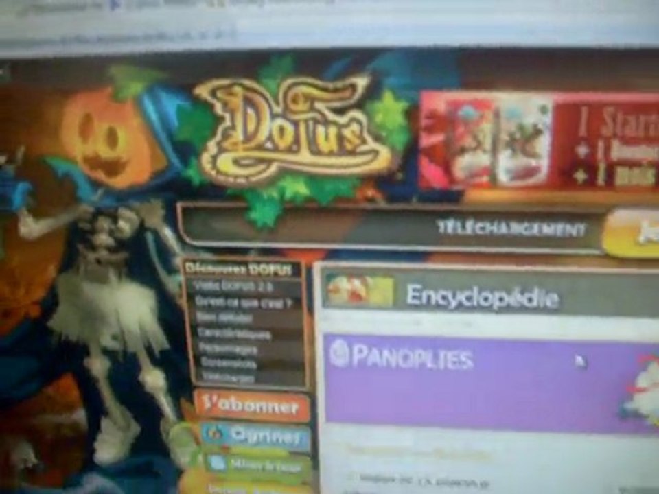dofus