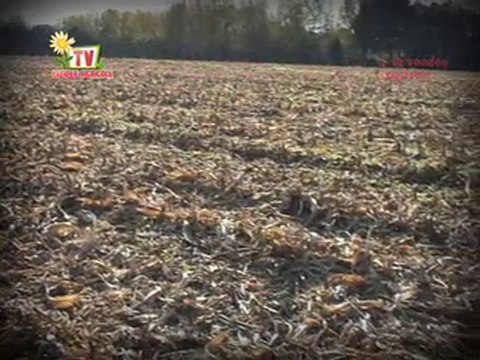 Journal Vendee Agricole TV du 10 novembre 2010
