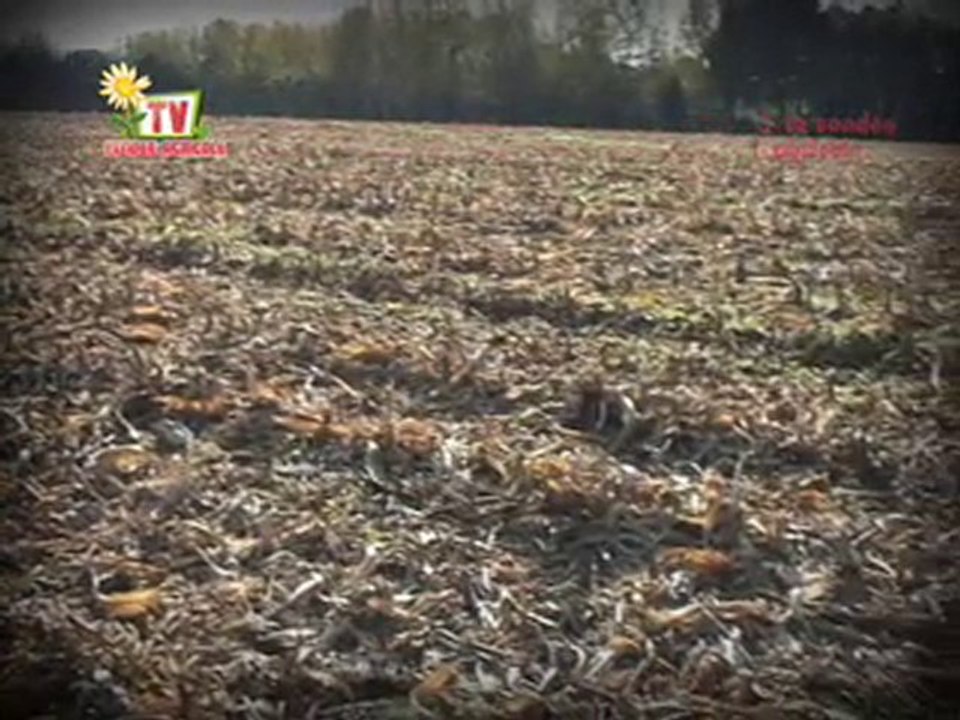 Journal Vendee Agricole TV du 10 novembre 2010