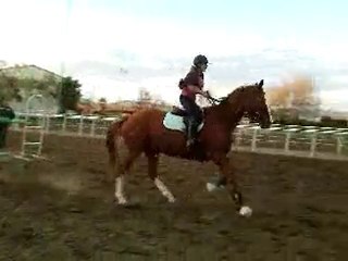 HOODIA STAGE ENSEIGNANTS