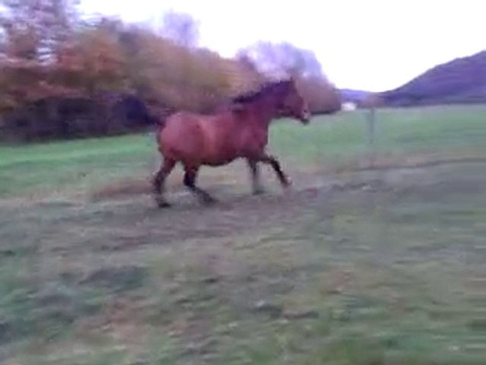 aftan et el bahr beni sakr