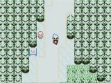 Pokemon Rubis ,39) La ville perchée dans les cimes