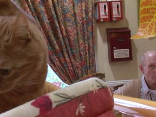 French retirement home welcomes man's best friend