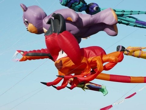 Diaporama CERVOLIX 2010 HD