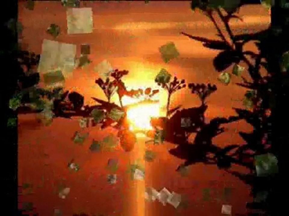 fotoğraflarla arhavi ve köyleri slayt -www.artvinliyiz..net