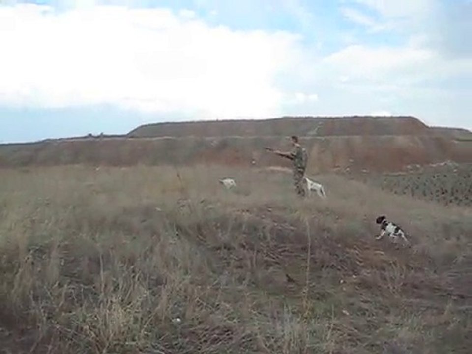 ing.pointer jaryo keklik ferma