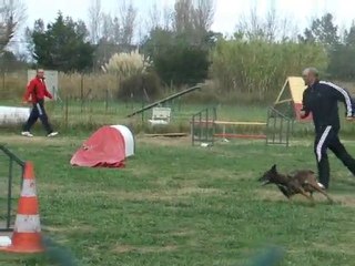 Vicci 3degré St Cyprien novembre 2010