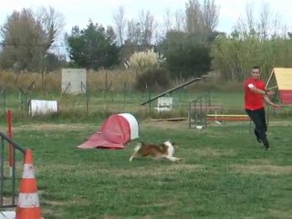Demeter 3degré St Cyprien novembre 2010