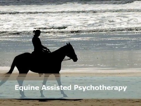 Equine Assisted Psychotherapy, Drug Addiction Counseling