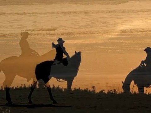 Equine Assisted Psychotherapy Los Angeles Drug Rehab