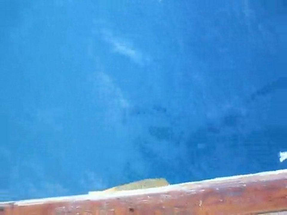 Kuşadası Köpek Balığı avı - Kerem Duman - 07 11 2010 shark