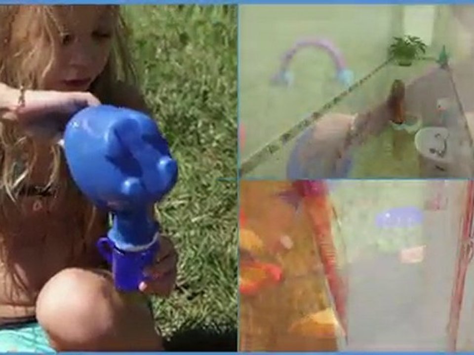 Récupérateur d'eau de pluie