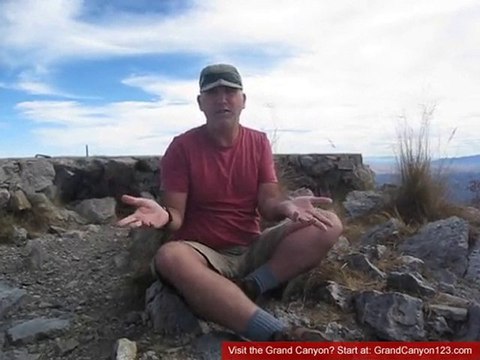 Las Vegas Bus Tours to Grand Canyon Skywalk