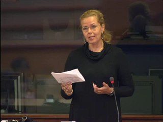 Cecilia Wikström on EU and Georgia
