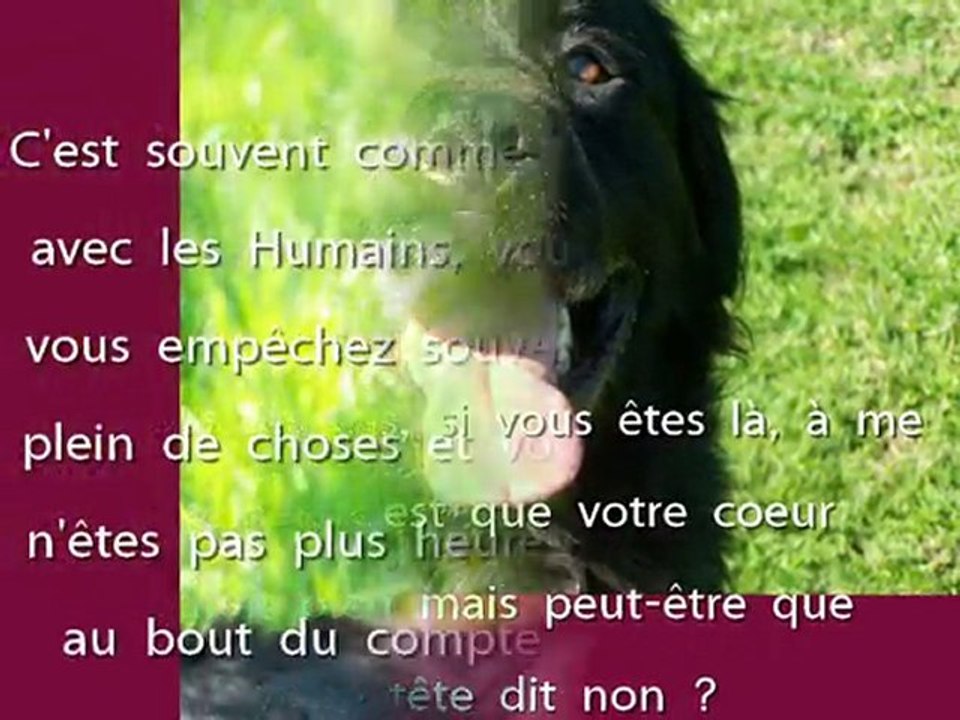 SNIPER, ton tour viendra va, si VOUS, vous décidez...