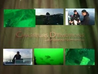 Chasseurs d'Emotions