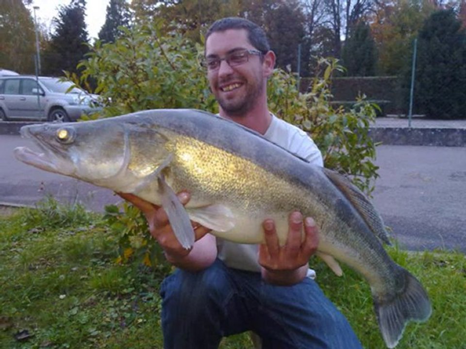 peche au brochet,sandre et perche
