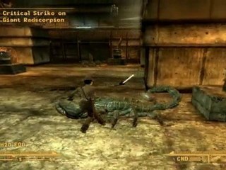 Fallout: New Vegas Arena Part1