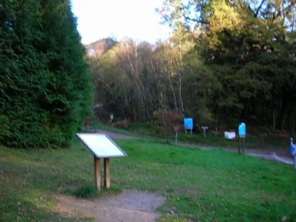 forêt de huelgoat