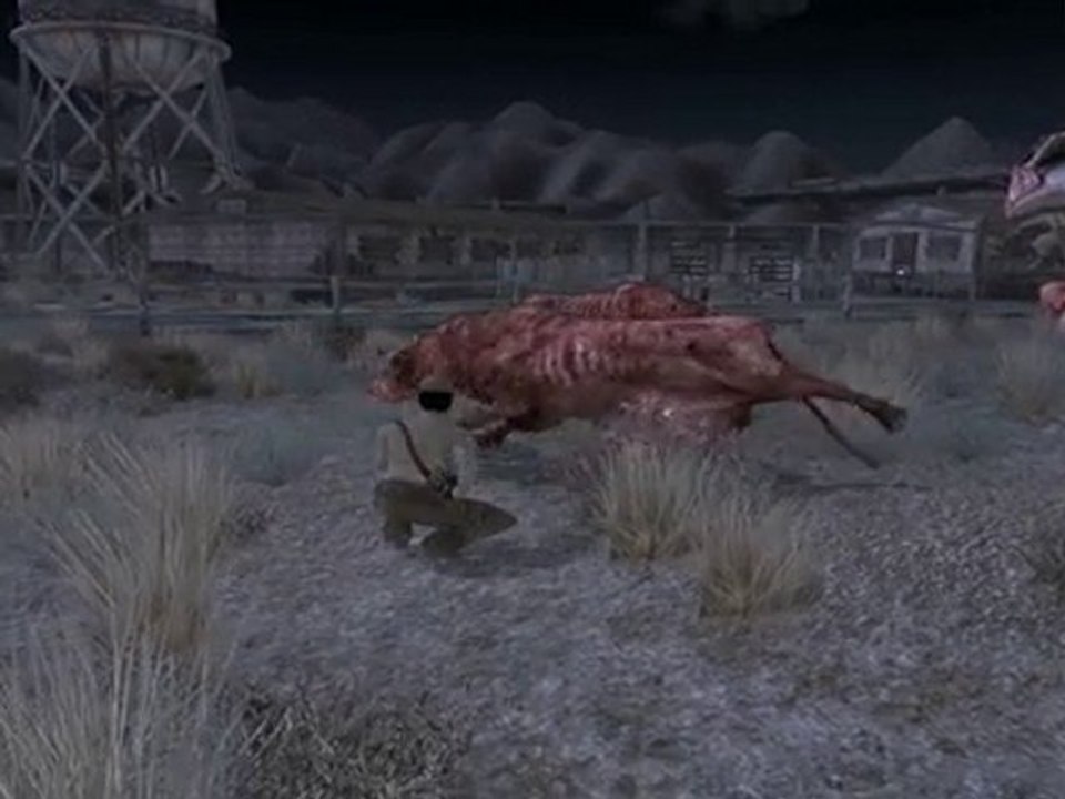 Fallout: New Vegas Sorry!