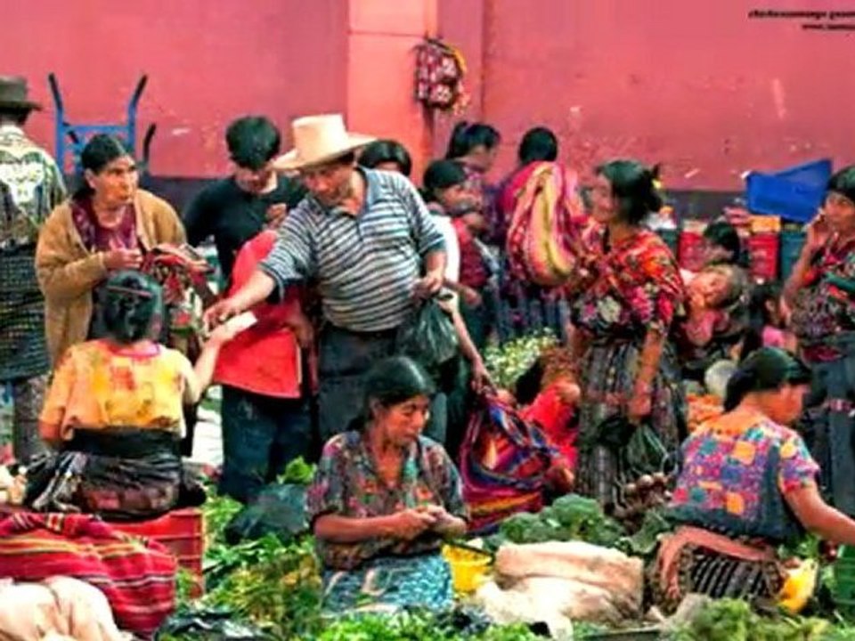 guatemala-koptur