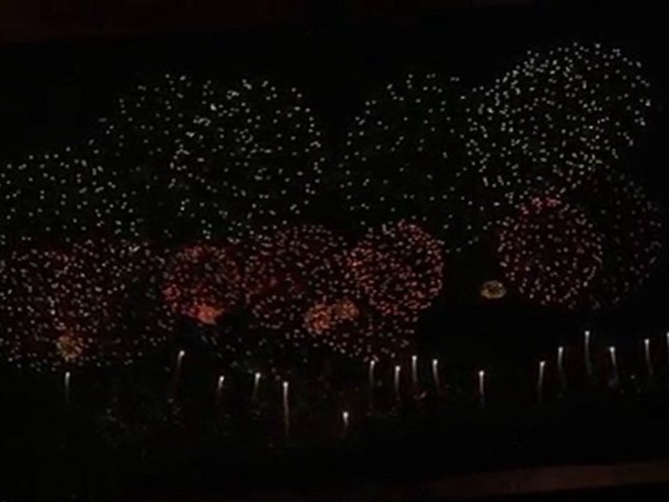 Feu d'artifice à Carcassonne : Les arbres
