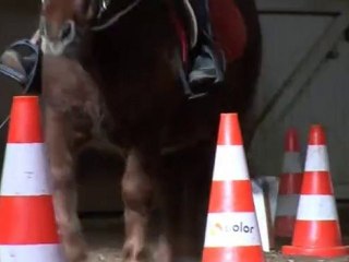 EQUIFUN SHETLAND SHA NOV 2010