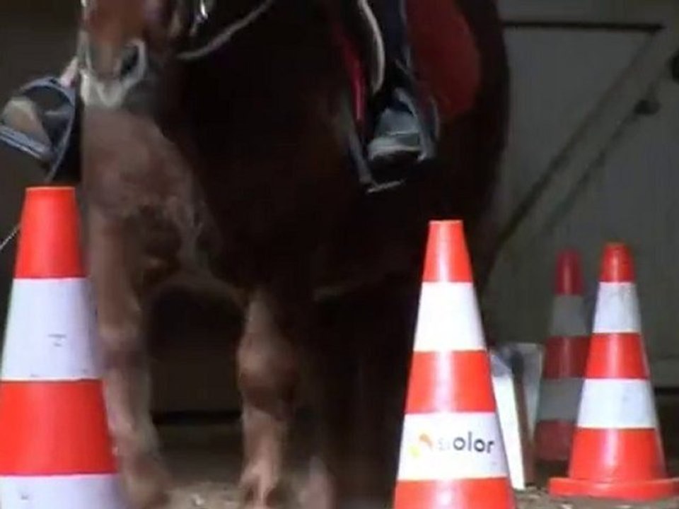 EQUIFUN SHETLAND SHA NOV 2010