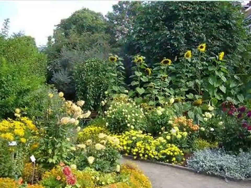 Belgium My Country......