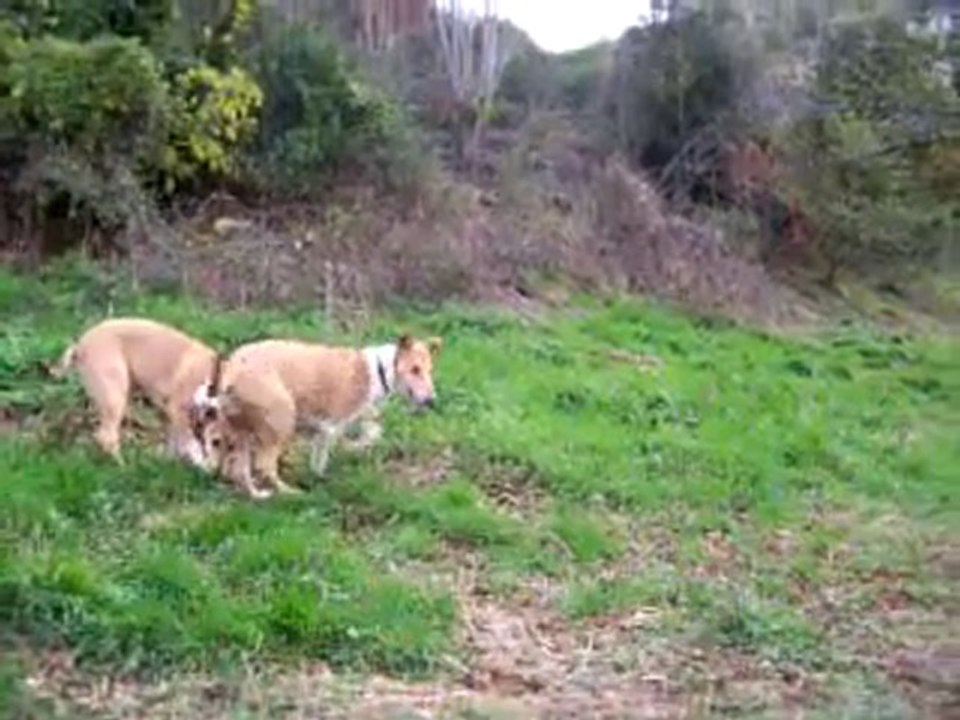 11/11/10: Un grain de folie chez les Grains de Sable :-))