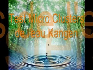 Comment l'eau kangen élimine les pesticides sur les fruits