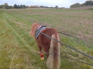 1er nov ballade