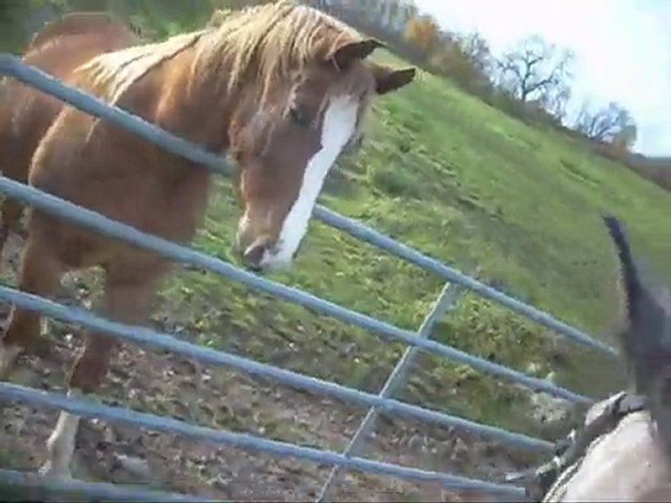 Sapho, balade 11.11.10