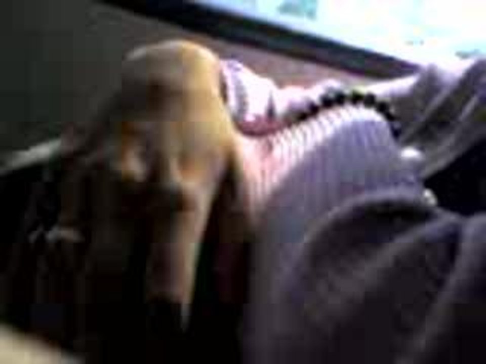 Dans le Bus 56 à Bordeaux