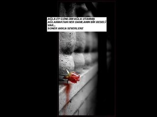 Ağla ey gönlüm ağla