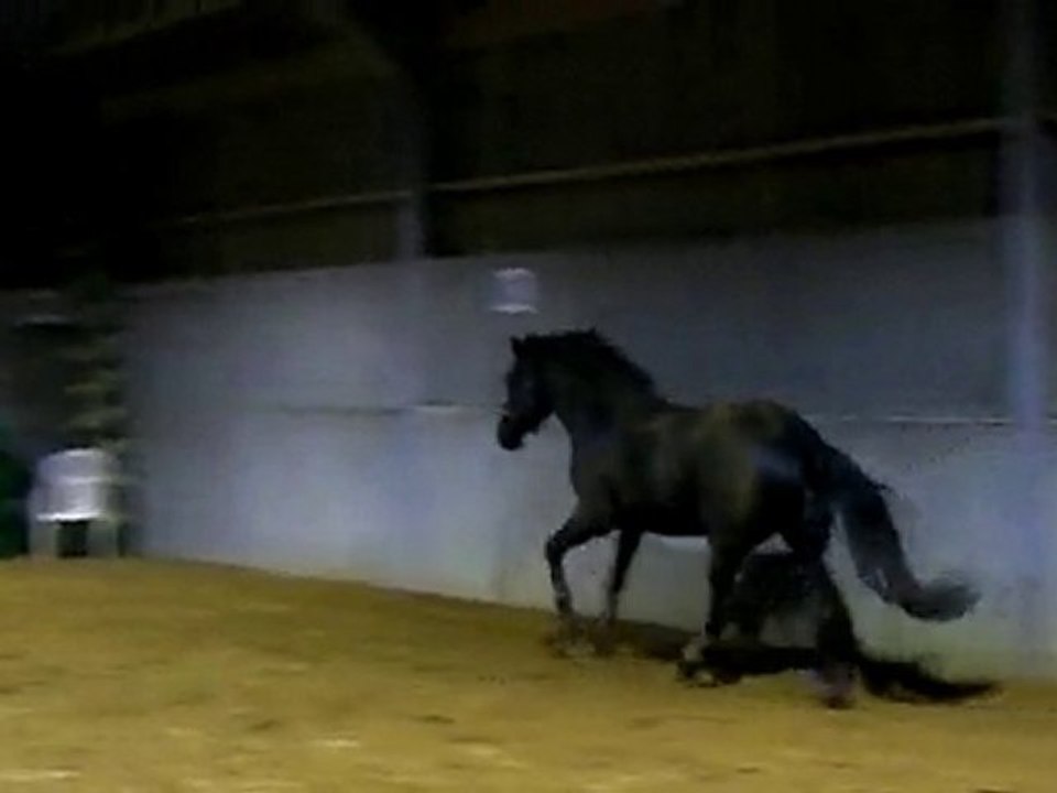 Ulys saut 2