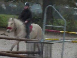 CSO 5 Novembre licol