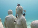 Art attracts fish in underwater Mexican museum