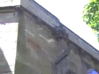 PT 1 HOW ARE THE HIDDEN THINGS OF ESAU SEARCHED OUT(CLASSIC)