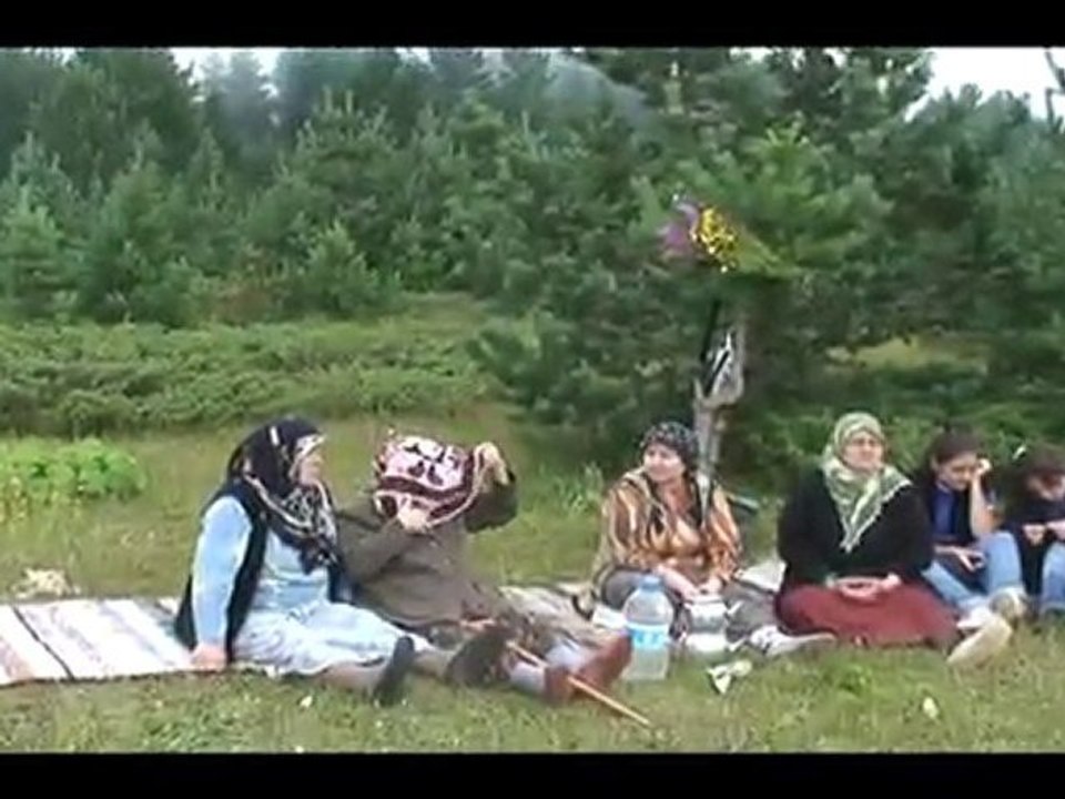 GEYİK OYNAĞI YAYLASI PİKNİĞİ