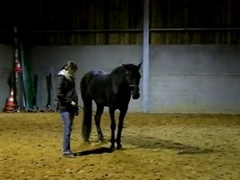 jambette