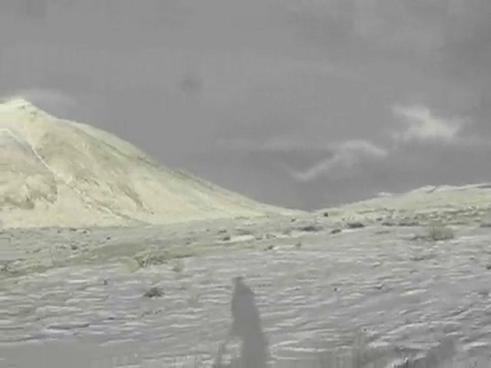 Yukon Dog Mushing Expedition Trip near Whitehorse Canada