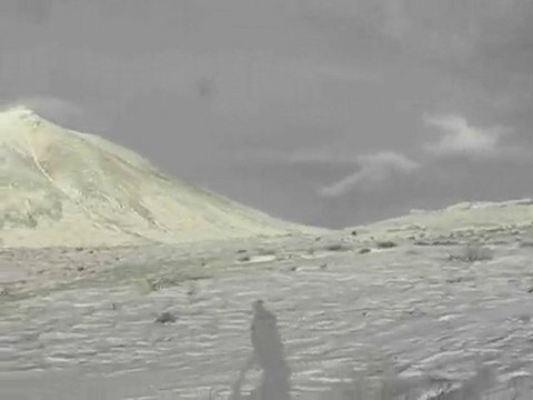 Yukon Dog Mushing Adventure Trip near Whitehorse Canada