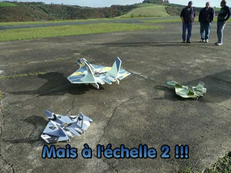 2010-11-11 Hasparren BIG Su67 Philippe vol n°2