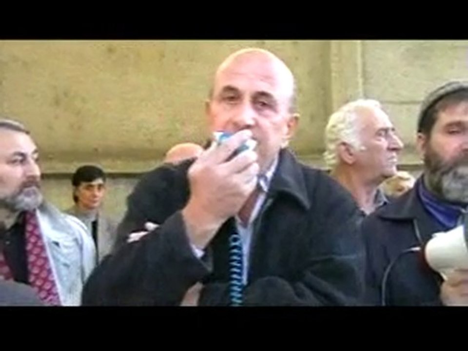 კრწანისის აქცია 11.11.2010