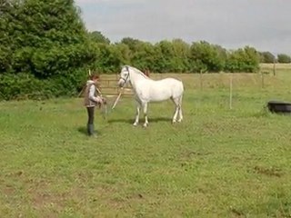 Longe 17 juillet 2011